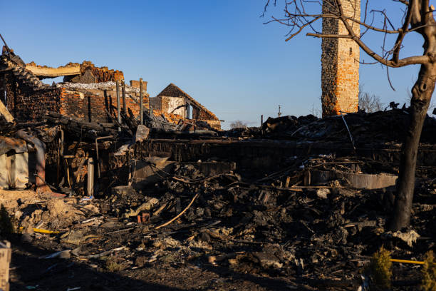 Reliable Content Restoration contractor in Buffalo, MN by Fire Damage Laser Cleaning